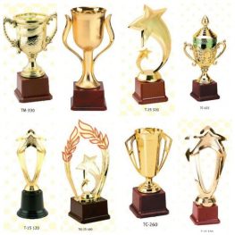 school-or-college-trophy-500x500-1